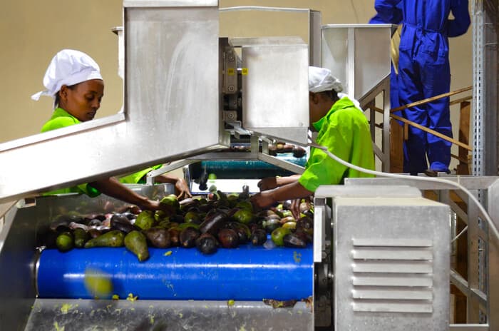 Workers in the factory